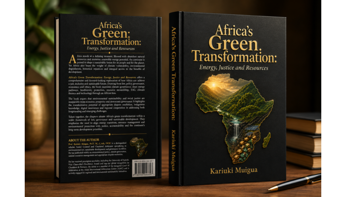 Africa’s Green Transformation:  Energy, Justice and Resources