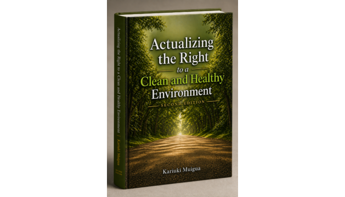 Actualizing the Right to a Clean and Healthy Environment (Second Edition)