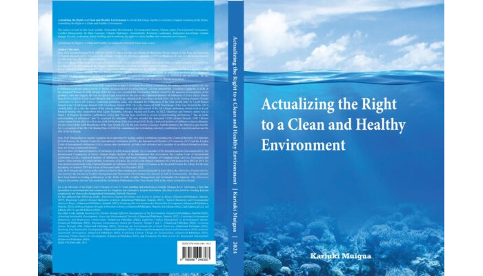 Actualizing the Right to a Clean and Healthy Environment